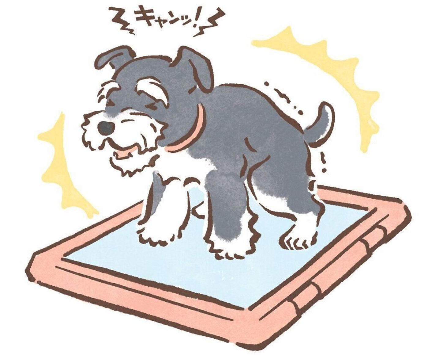 ぽたぽたオシッコ 黒いウンチ 今すぐ受診すべき犬の キケンなウンチ オシッコ いぬのきもちweb Magazine ぽたぽたオシッコ 黒いウンチ 今すぐ受診すべき犬の キケンなウンチ オシッコ いぬのきもちweb Magazine