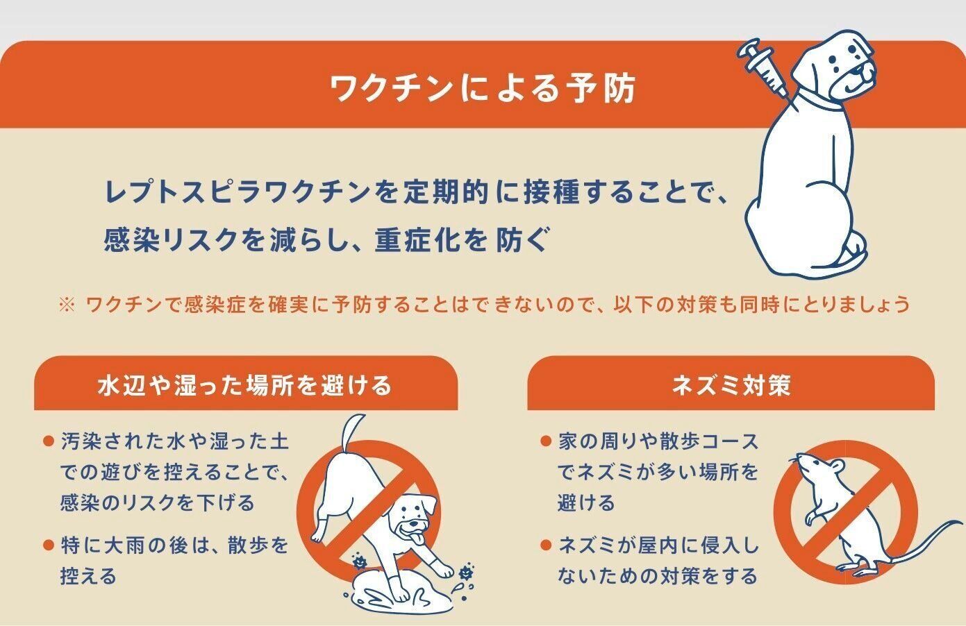 レプトスピラ症の3つの予防対策