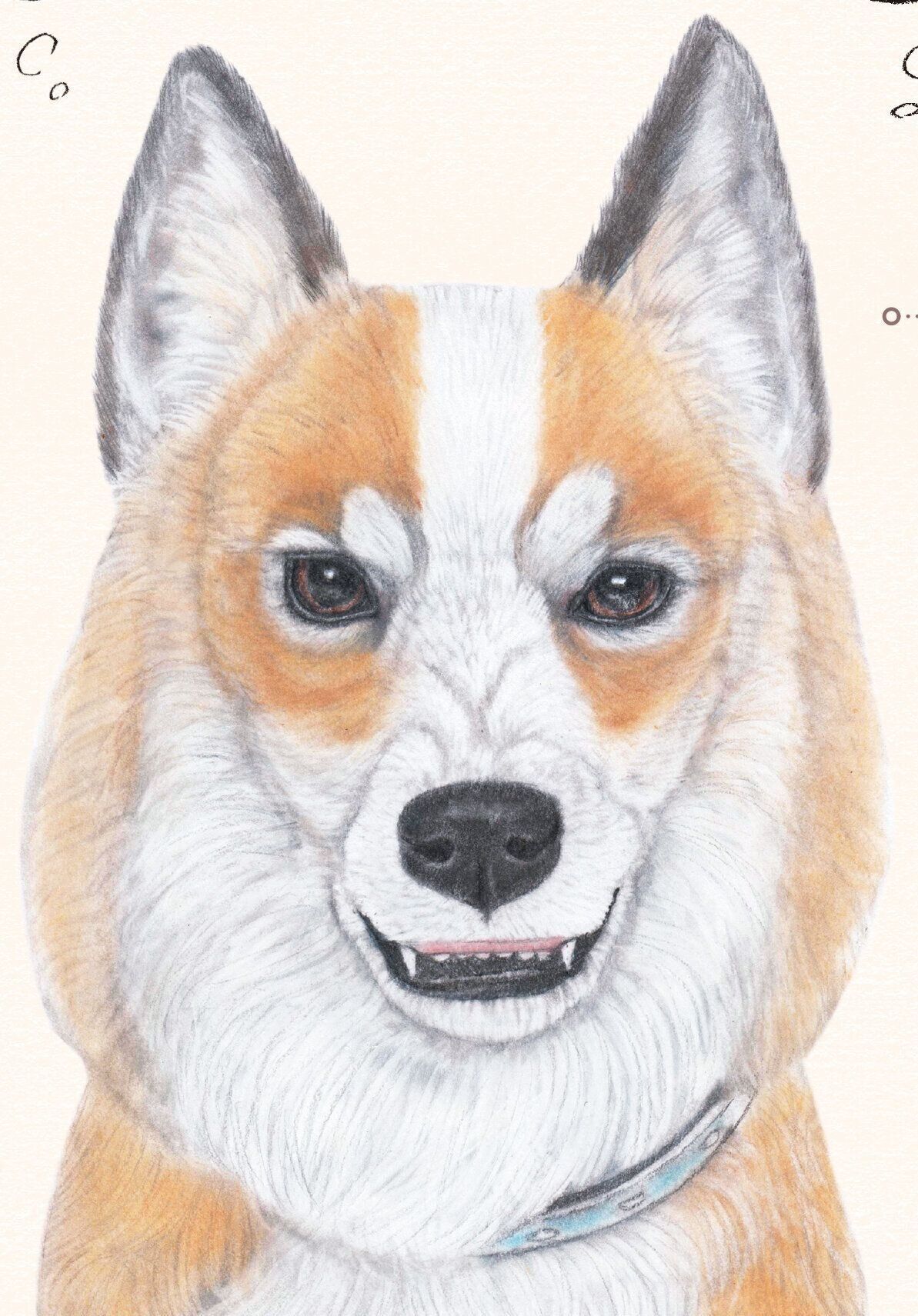 イラスト／くるみ るか