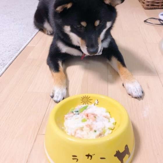 美味しいそうなごはん