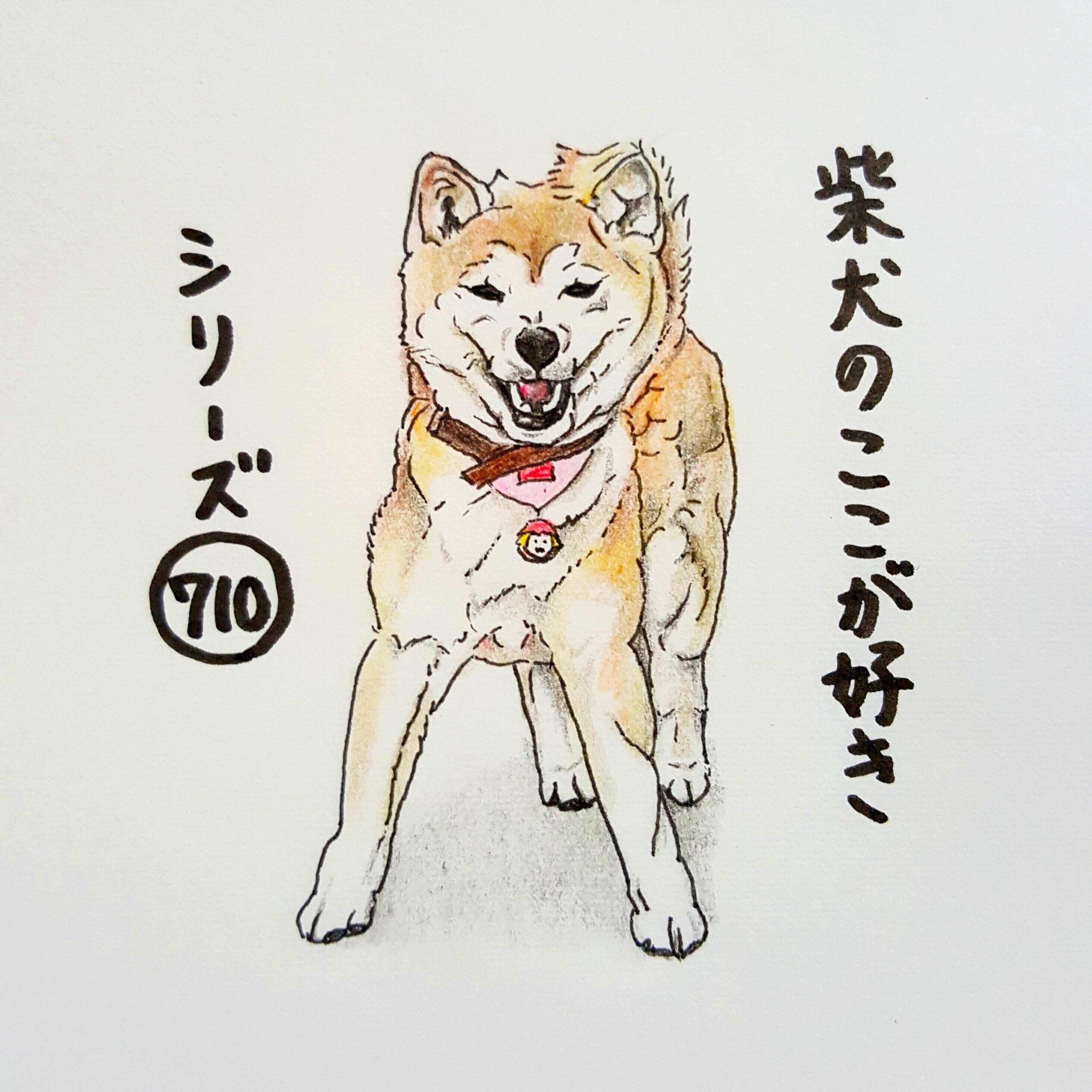 柴犬あるある ものすごく自慢気に立ってるとこ 連載 ここ掘れここ柴 Vol 110 いぬのきもちweb Magazine 柴犬あるある ものすごく自慢気に立ってるとこ 連載 ここ掘れここ柴 Vol 110 いぬのきもちweb Magazine
