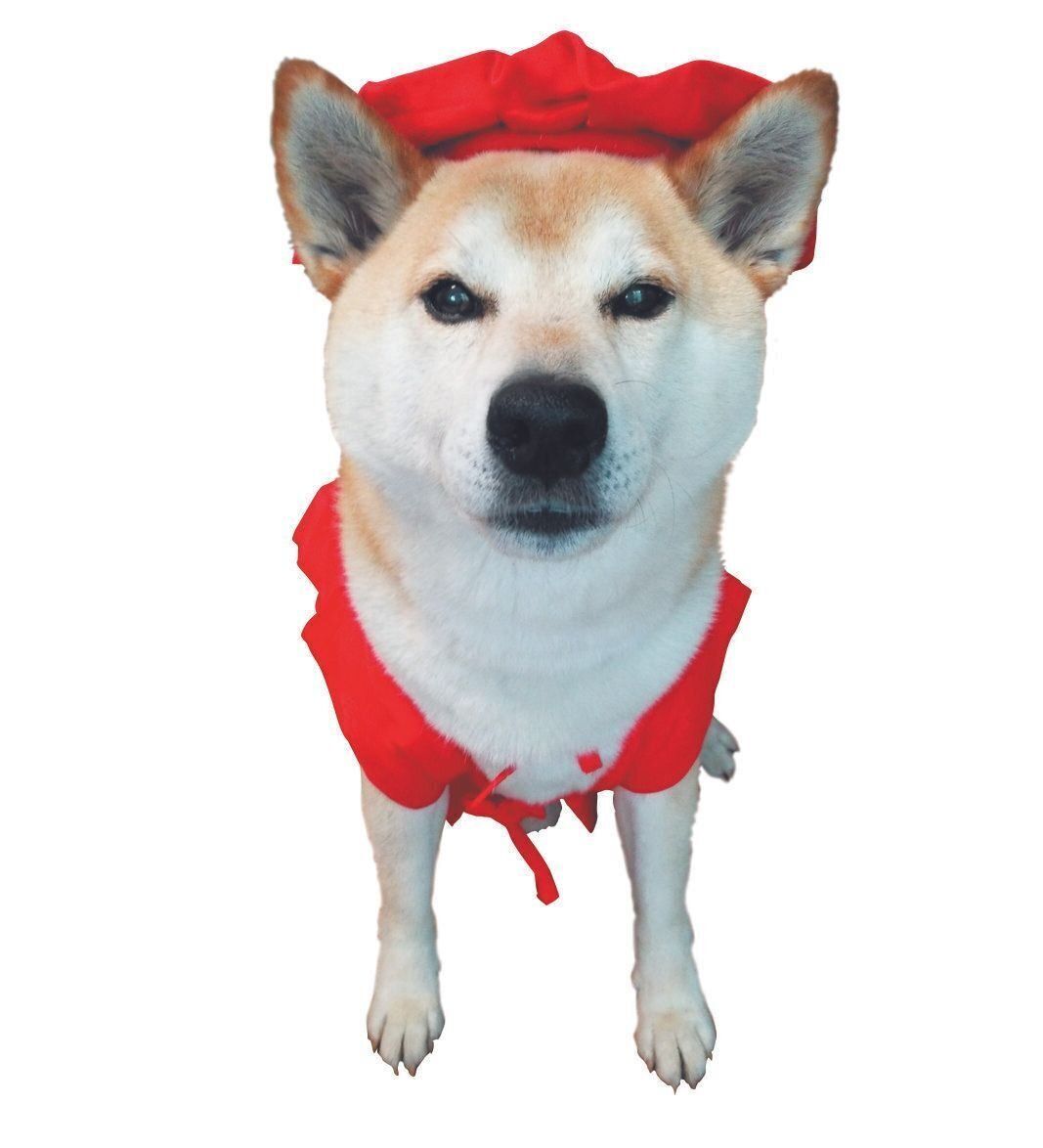 赤いちゃんちゃんこがお似合い！