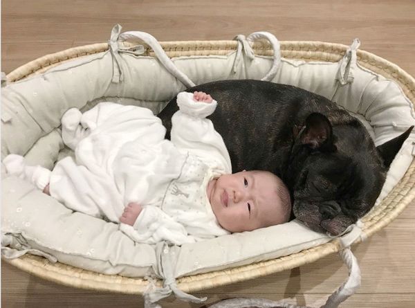 弟の面倒を見る犬