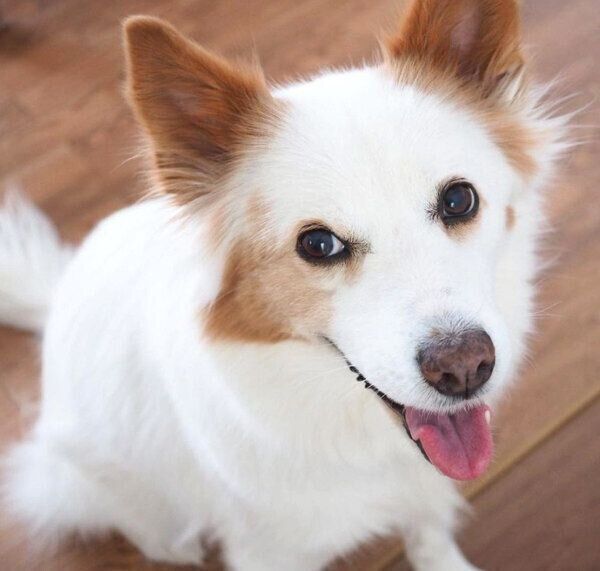 笑顔のまるこちゃん