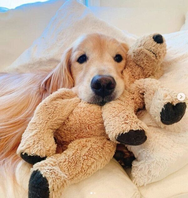 くつろぐエリックくん