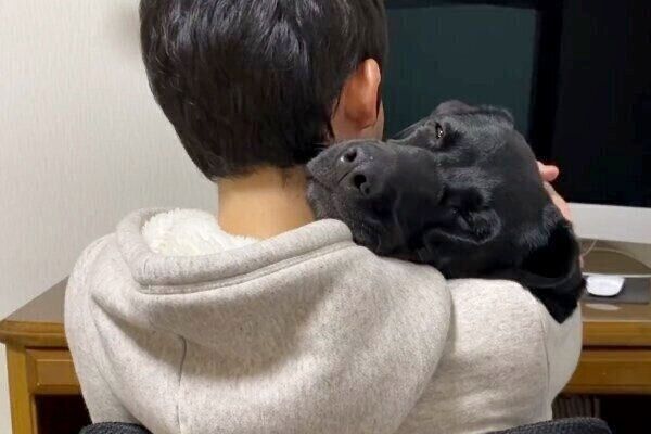 飼い主さんに抱っこされるエマちゃん