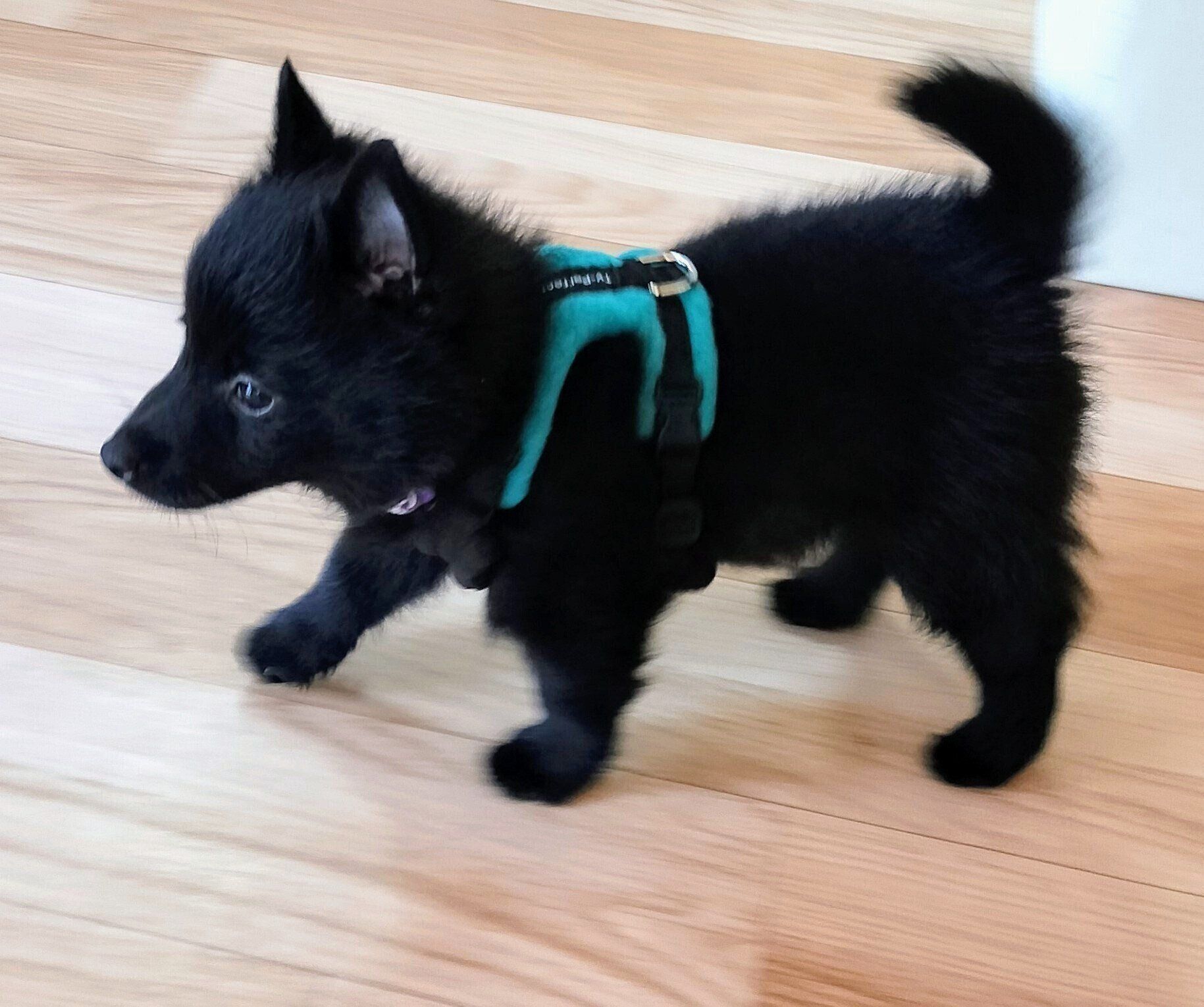 生後2カ月のころに撮影した瑠音くん