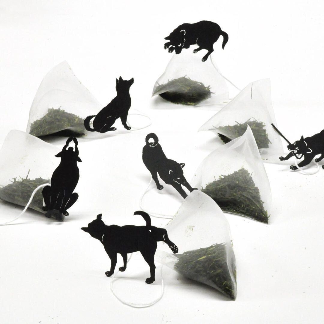 いぬ茶のタグはユニークなポーズが印象的