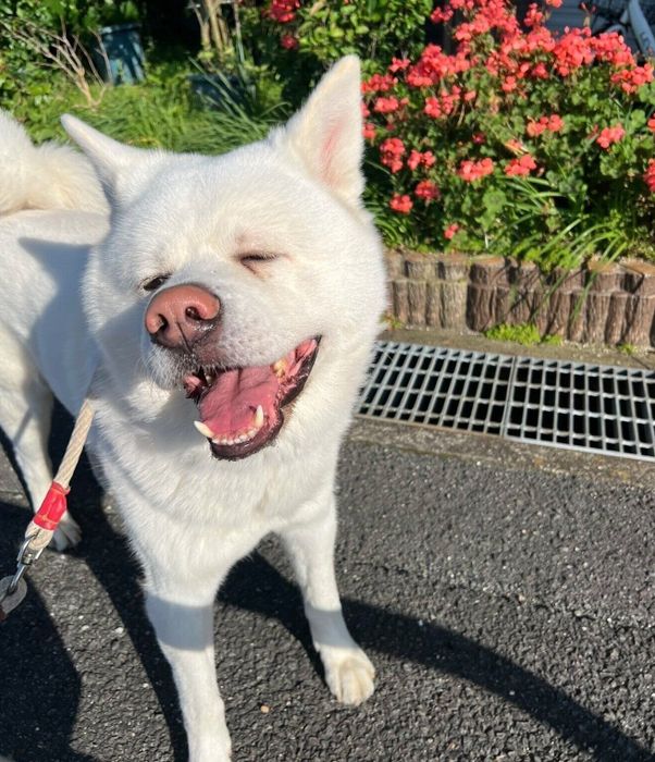 楽しそうな心くん