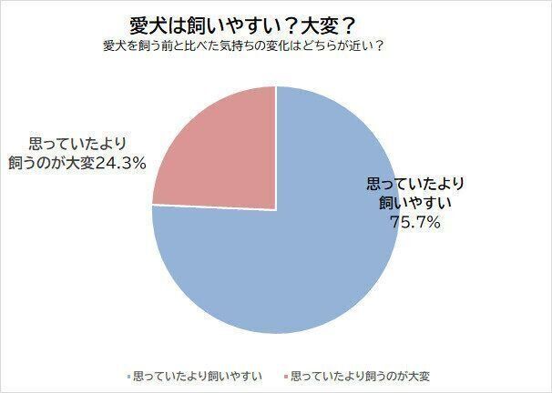 愛犬は飼いやすい?大変?