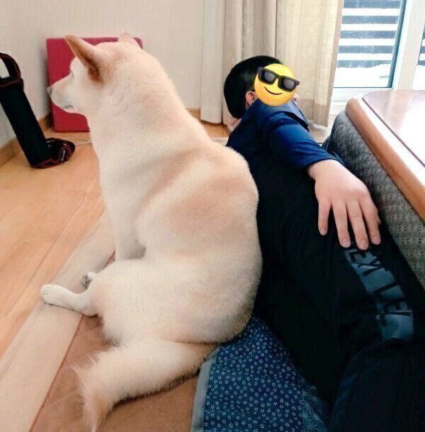 息子さんにくっつくしろ子ちゃん