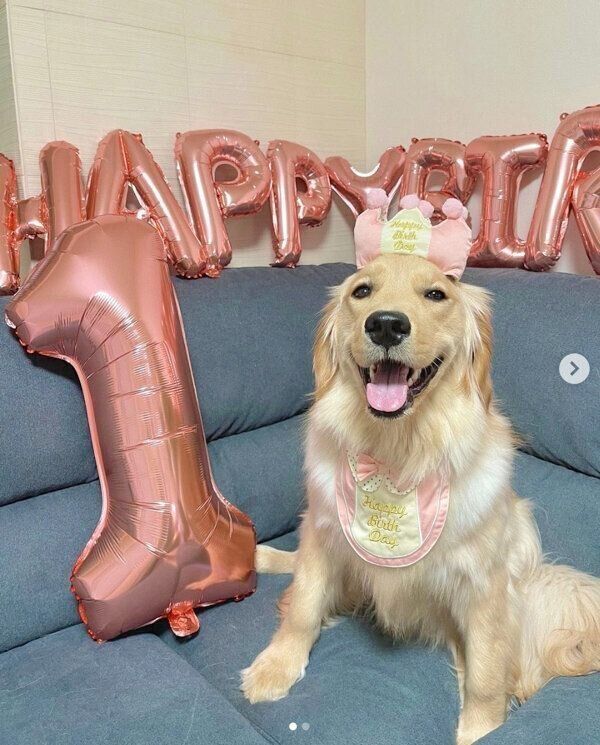 1才になったときのおからちゃん