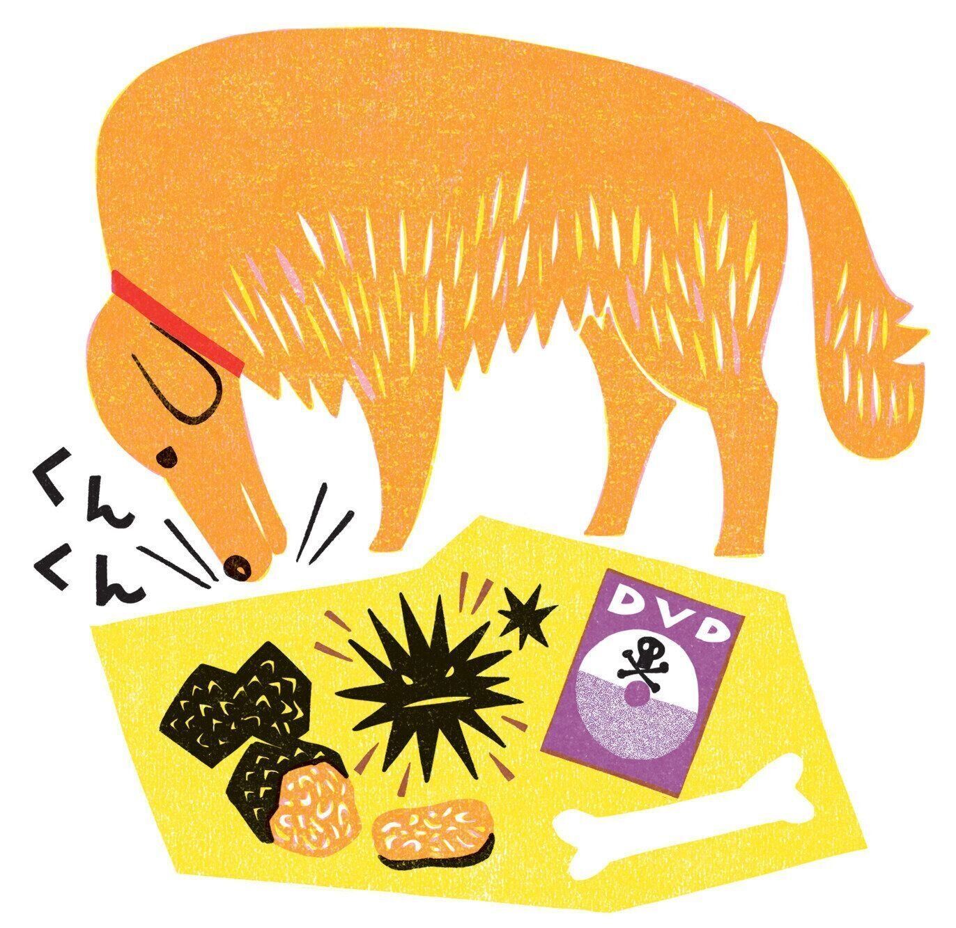 悪人を見抜く 最新科学で読み解く 犬の 第六感 いぬのきもちweb Magazine