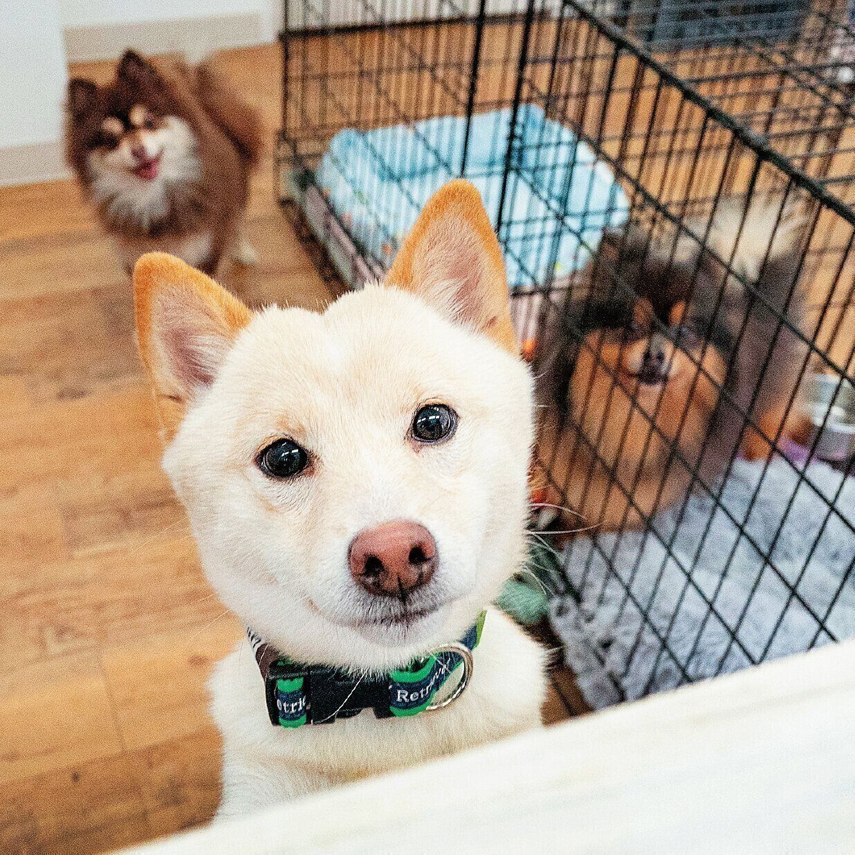 撮影／田尻光久