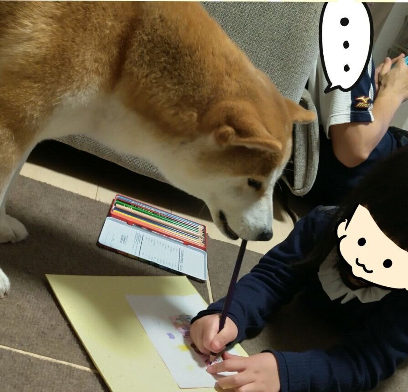 柴犬タロさんの謎すぎる行動 まさかのウケ狙い 犬もフレーメン反応するの 連載 モフモフ柴とプニプニ娘 第168話 いぬのきもちweb Magazine 柴犬タロさんの謎すぎる行動 まさかのウケ狙い 犬もフレーメン反応するの 連載 モフモフ柴とプニプニ娘 第168話 いぬのきもちweb Magazine