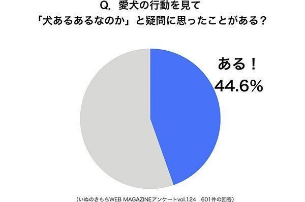 グラフ：愛犬の行動を見て「犬あるあるなのか」と疑問に思ったことがある？