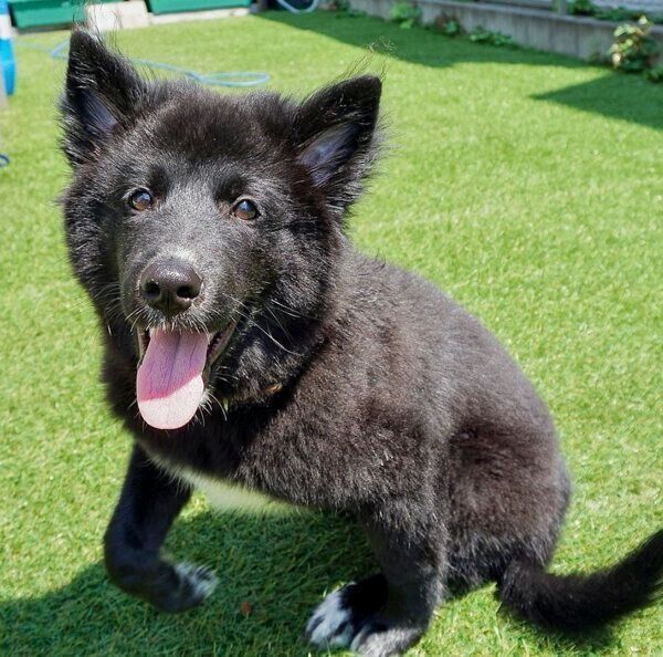 楽しそうなノアくん