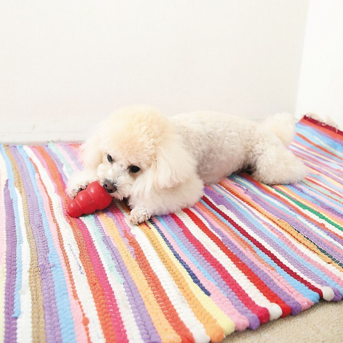 撮影／尾﨑たまき