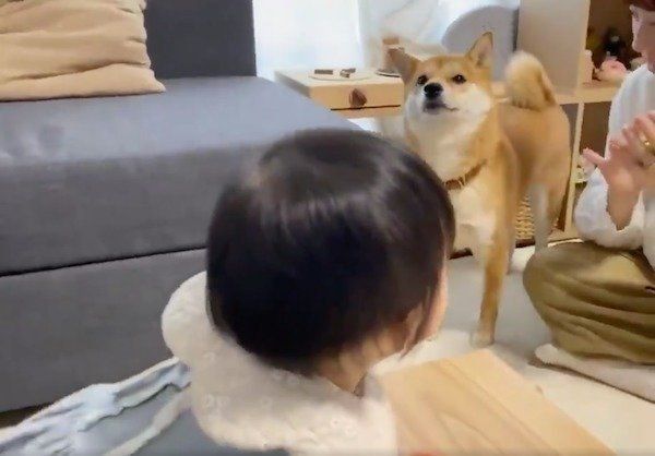 音遊びに飛び込み参加するりんご郎くん