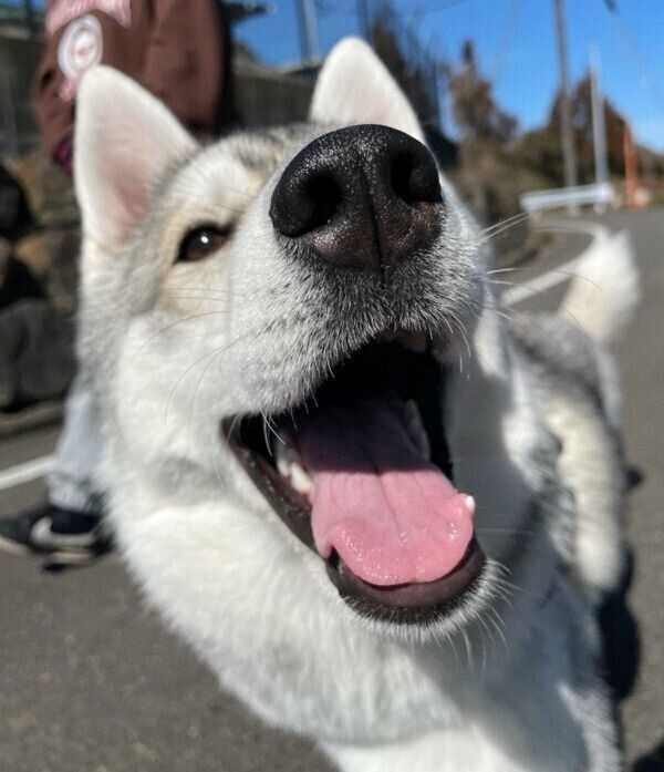 笑顔が可愛いいちみちゃん