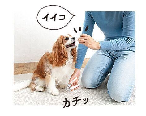 撮影／尾﨑たまき