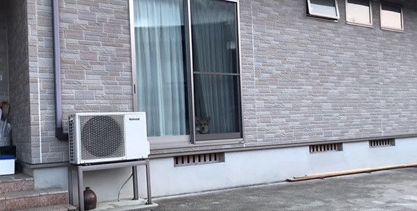 帰りを待つ犬