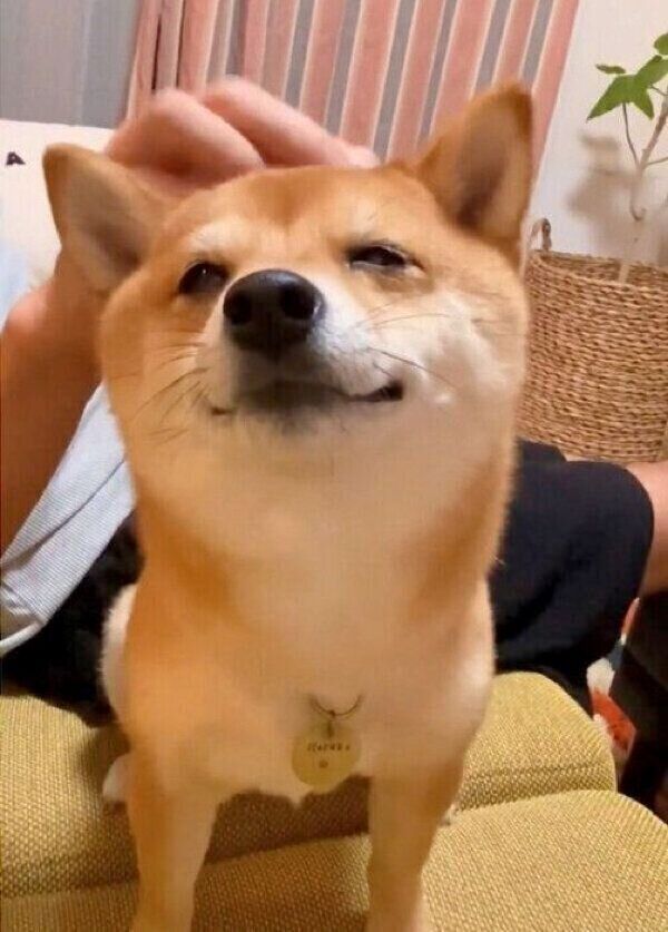 パパさんに頭をナデナデしてもらう、まるこちゃん