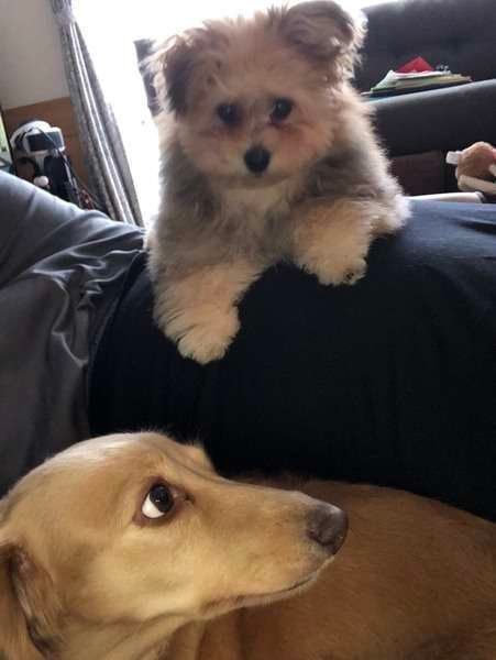 お隣のハナ姉さん