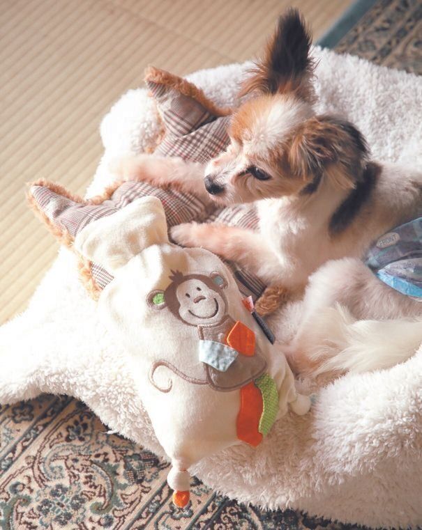 急激な気温差から体を守るため、見た目もかわいい湯たんぽやウエアを活用