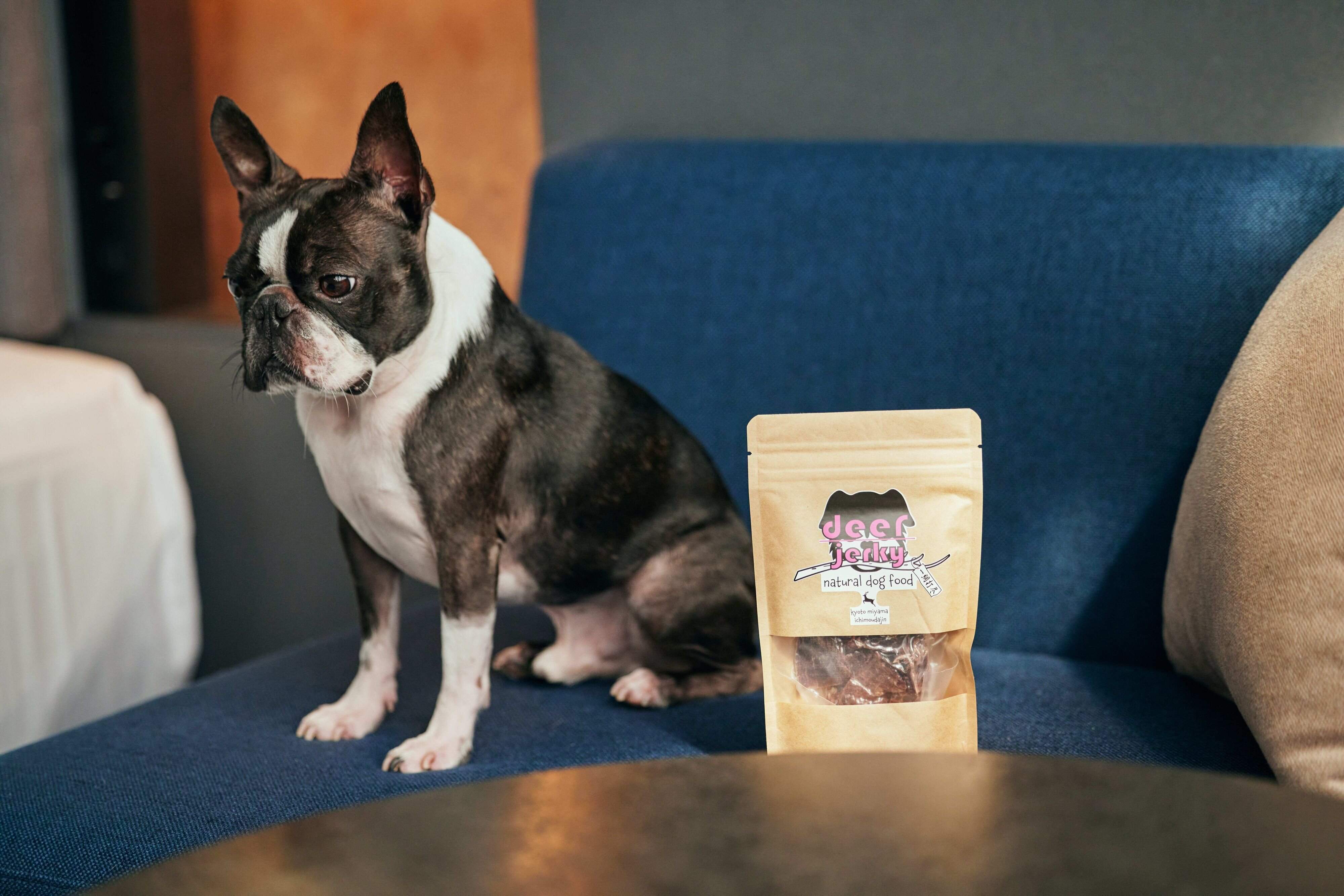 天然ジビエを使用したジャーキーとボストンテリア