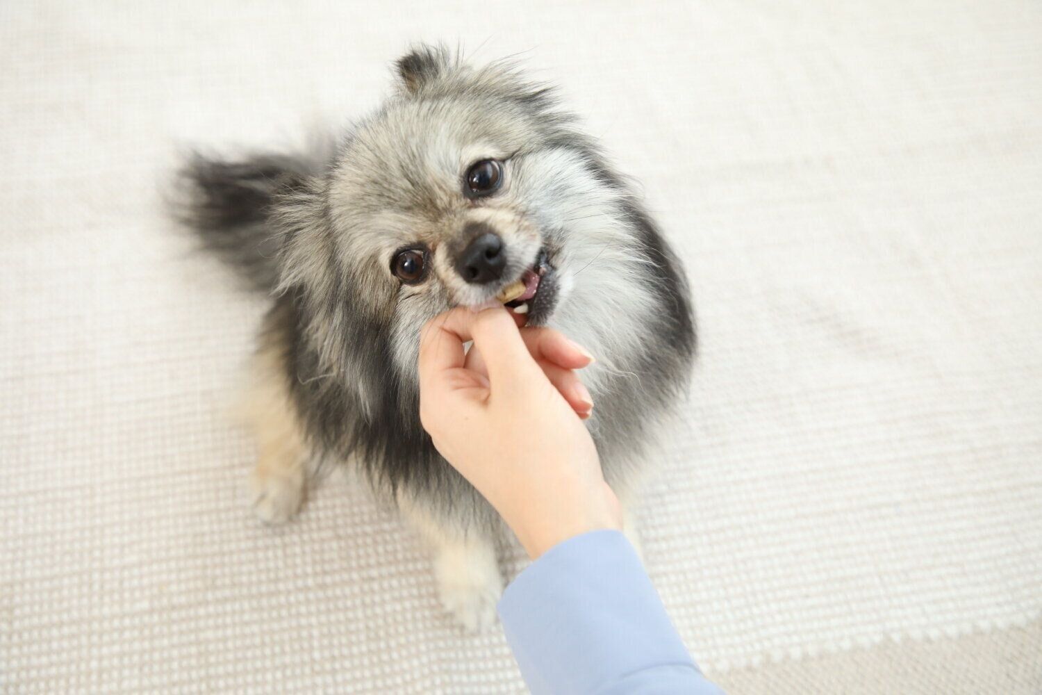 撮影／尾﨑たまき