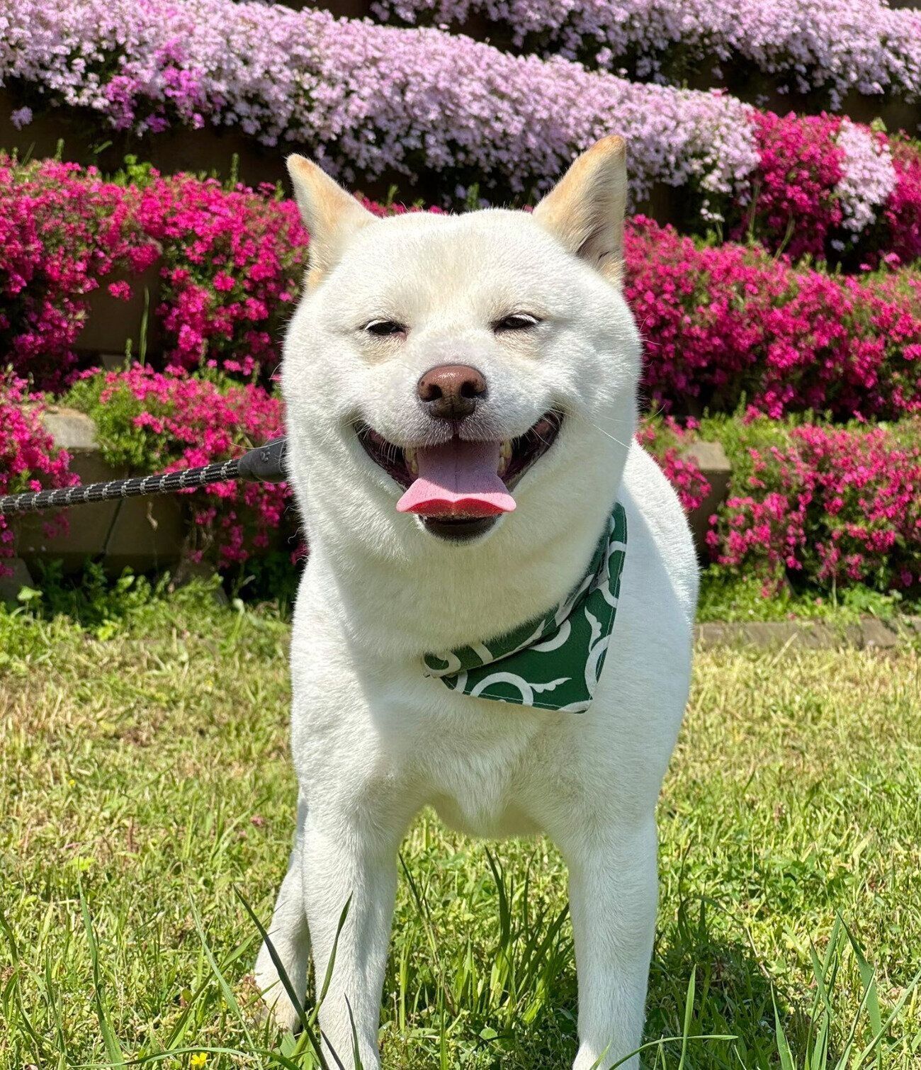 いい表情をするケンシロウくん