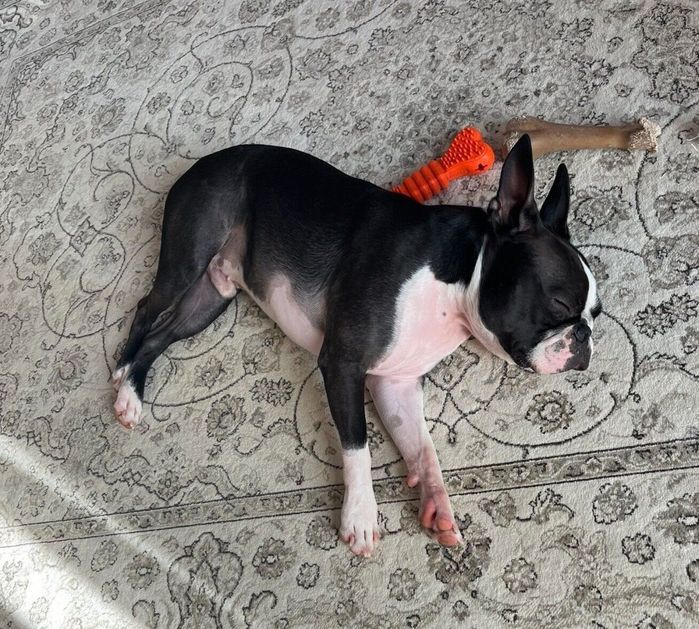 熟睡するぼのくん