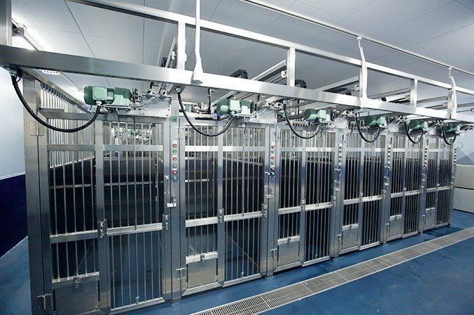 センター内の観察期間中の犬舎には、自動で動く仕切り板があり、掃除のときや頭数が増えたときに活用できる