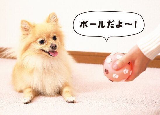 撮影／尾﨑たまき