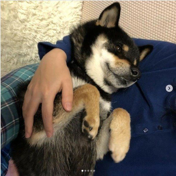 甘えるまるくん