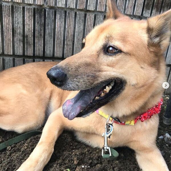 笑顔のこたろうくん