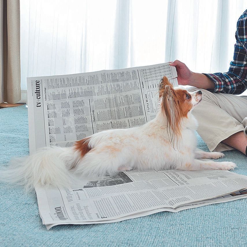 撮影／佐藤正之