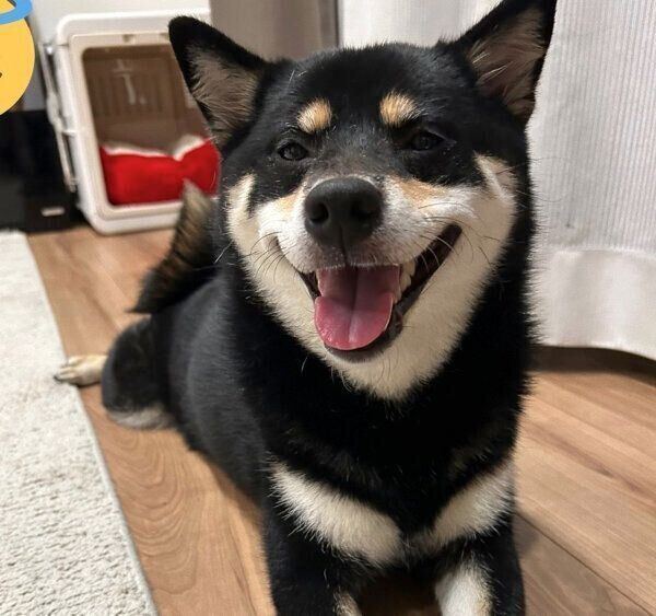 笑顔が可愛いめいちゃん