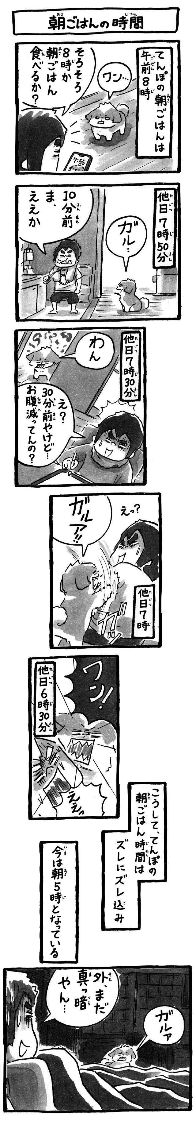 シーズー犬マンガてんぽshihtzu