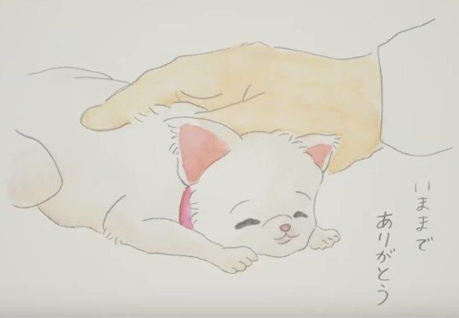 吉田山田「赤い首輪」PV