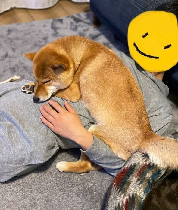 眠るおだしくん