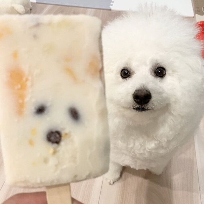 アイスと比べられるプペルくん