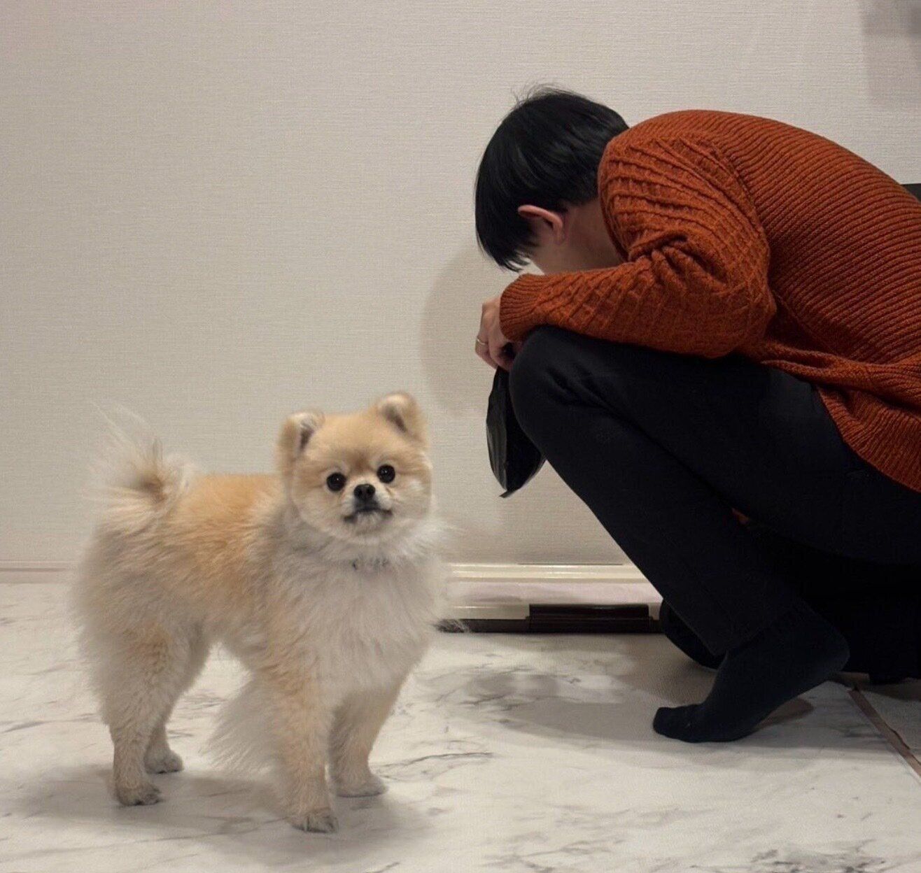 カメラ目線をするほたてくん