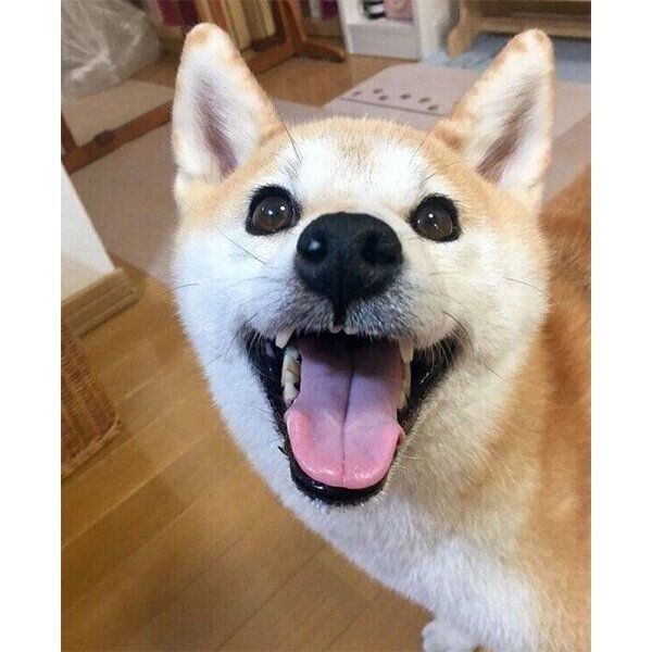 笑顔が可愛いあかねちゃん