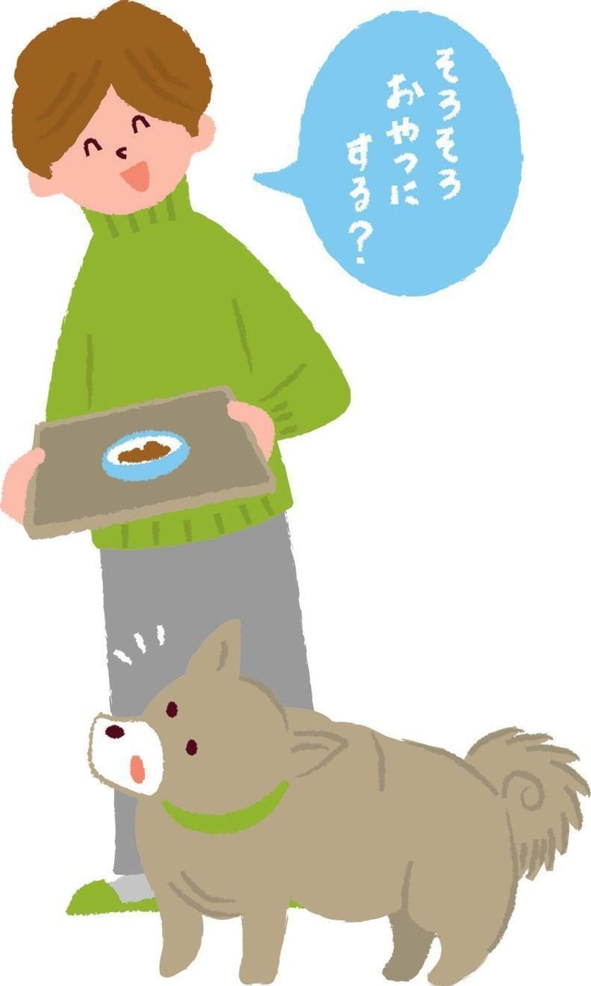 犬の食べ過ぎを防ぐために有効な意外な生活習慣とは いぬのきもちweb Magazine 犬の食べ過ぎを防ぐために有効な意外な生活習慣とは いぬのきもちweb Magazine