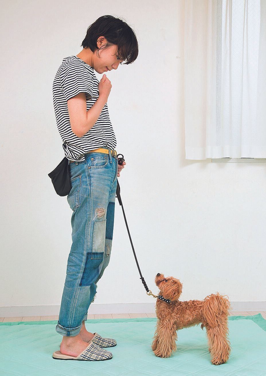 愛犬の名前を呼んでアイコンタクト