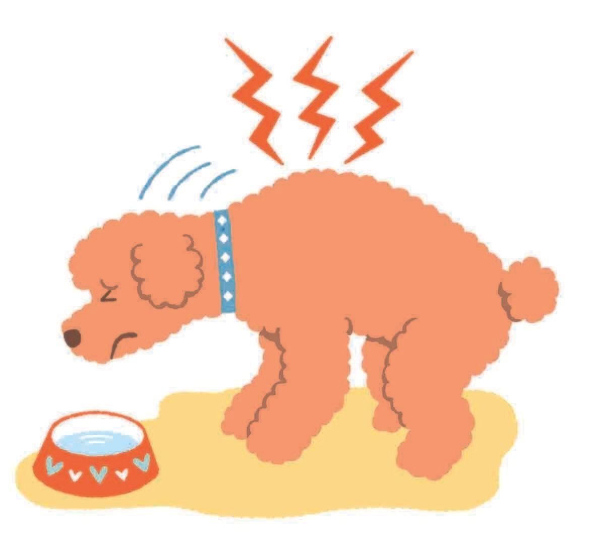 イラスト／フジサワミカ