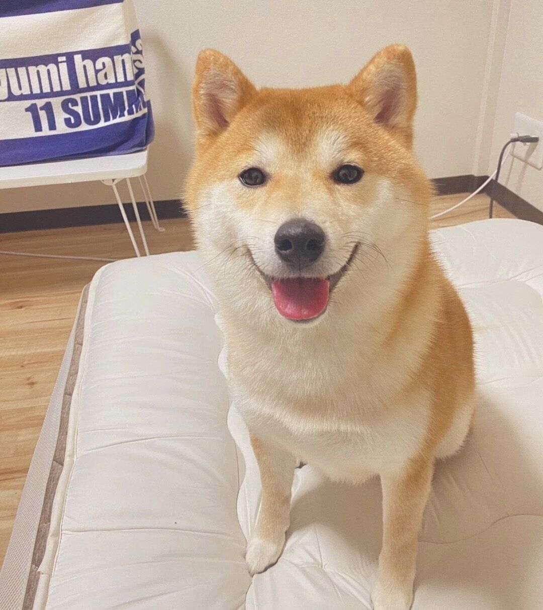 笑顔が可愛いコタくん