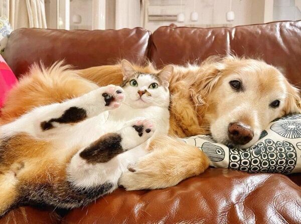 仲良しな小麦ちゃん、豆ちゃん